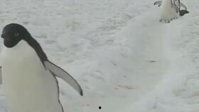 情侣小视频国产区,国产情侣小视频甜蜜瞬间大盘点 第2张 情侣小视频国产区,国产情侣小视频甜蜜瞬间大盘点 第2张