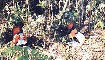 国产野战在线,在线战场风云再起 第2张 国产野战在线,在线战场风云再起 第2张