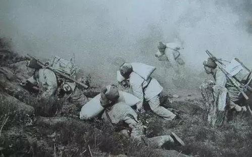 国产野战在线,在线战场风云再起 第3张 国产野战在线,在线战场风云再起 第3张