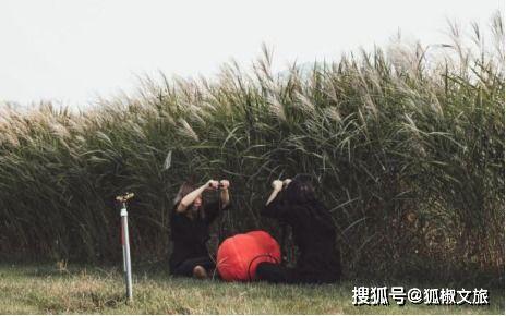 国产伊甸园  第2张