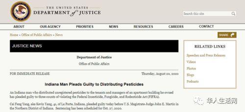 国产华人在线,探索中国互联网文化新篇章 第3张 国产华人在线,探索中国互联网文化新篇章 第3张