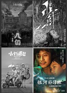 国产片子,光影交织下的时代印记  第3张