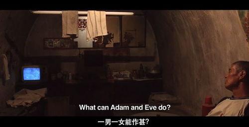 国产老人性视频在线,揭秘夕阳红时代的情感与生活 第2张 国产老人性视频在线,揭秘夕阳红时代的情感与生活 第2张