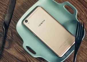 热e国产,探寻能源变革中的绿色奇迹 第2张 热e国产,探寻能源变革中的绿色奇迹 第2张