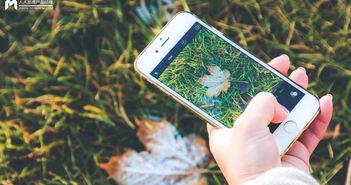 手机看片日韩国产,手机看片,尽享视听盛宴 第3张 手机看片日韩国产,手机看片,尽享视听盛宴 第3张